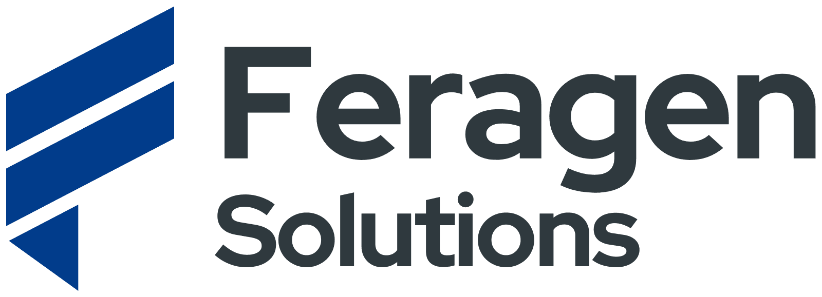 Feragen Solutions